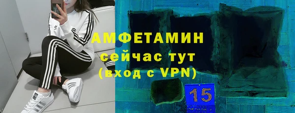 гидра Горняк