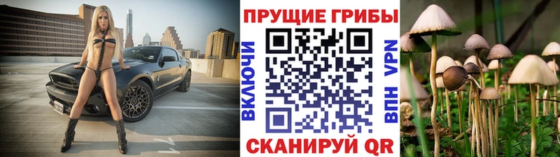 Псилоцибиновые грибы MAGIC MUSHROOMS  Купить где  Невель 